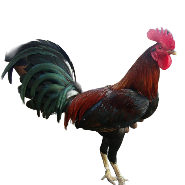 misterioso